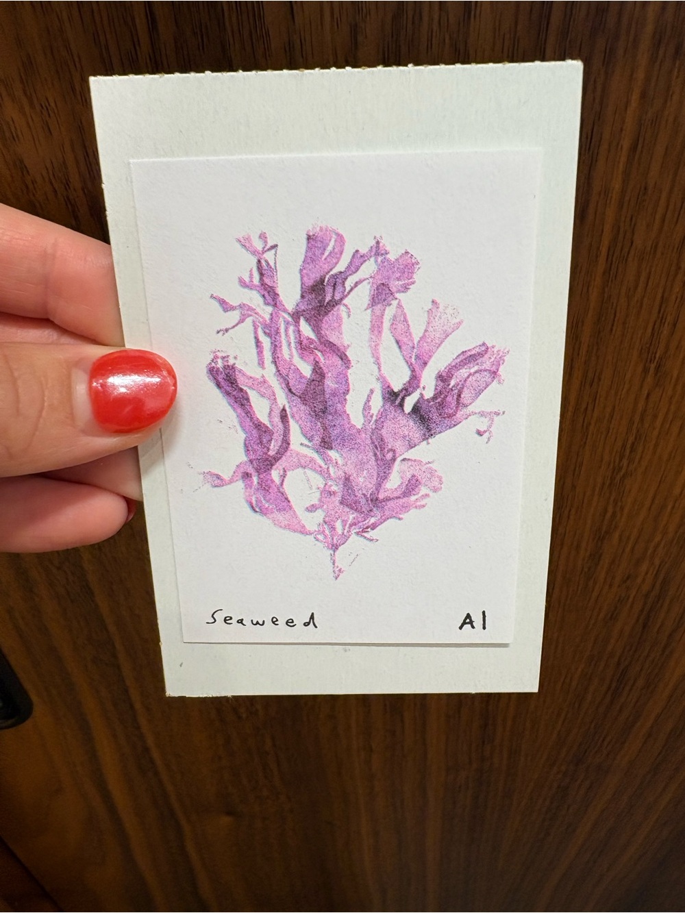 Anastasia inciardi mini print - Seaweed - from Book Love Plymouth MA